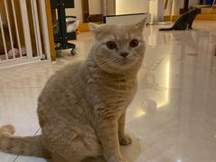 -Catmate·猫肥家润(金润铂宫店)