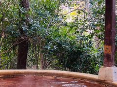 -天目湖涵田半山温泉