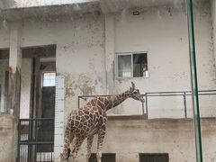 -成都动物园