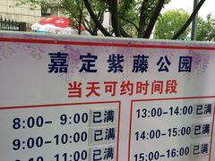 -嘉定紫藤园
