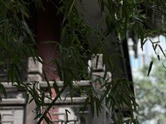 -罔极寺