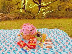 -上海共青森林公园