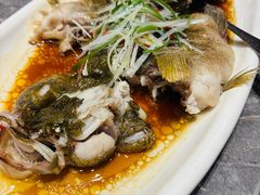 -老绍兴养和饭店(向阳不夜城店)