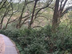 -宁波市保国寺古建筑博物馆