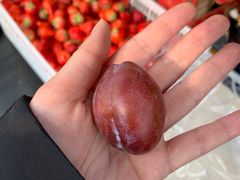 -西郊国际农产品交易中心