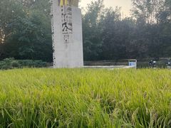 -北坞公园