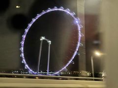 -新加坡雅庭假日酒店