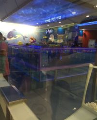-海豚啵啵体智能游泳馆(惠山万达广场店)