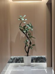 -蘭FACE·海菲秀飞顿Med SPA