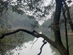 -缙云山景区