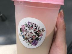 -Husky Go! 哈士奇体验馆·宠物咖啡厅狗咖