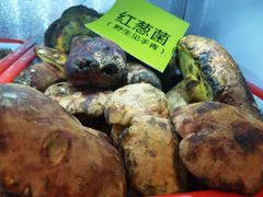 见手青（红葱菌）-菌海森林·非遗野生菌火锅(西山区滇池路摩根道店)