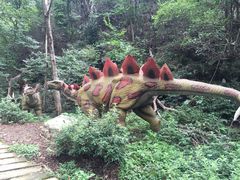 -木兰云雾山