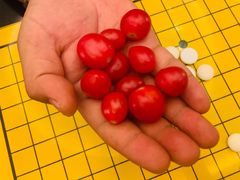 -东方之珠洗浴休闲广场(南开店)