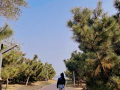 -巧克力渔家.小船海鲜家常菜(万平口店)