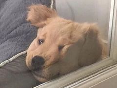 -Wagas沃歌斯(大学路店)