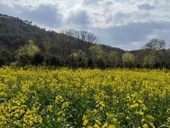 -黄陂区野村谷景区