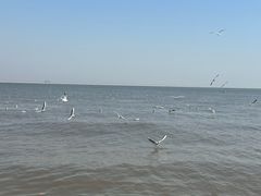 -东疆理想海岸沙滩景区