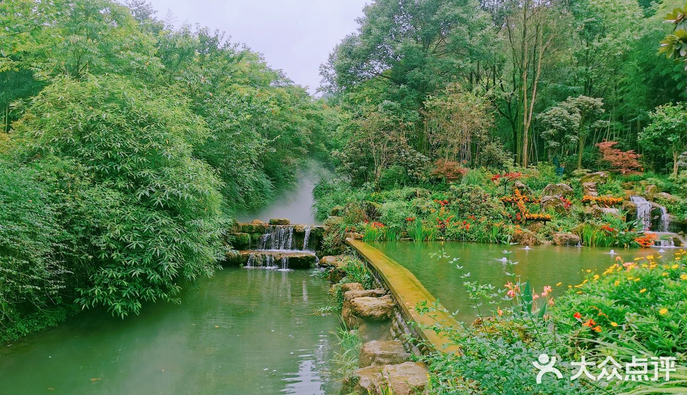 闯入熊猫🐼睡眠王国？[害羞]