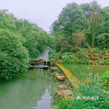 闯入熊猫🐼睡眠王国？[害羞]