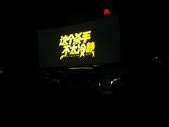 -枫花园汽车电影院(朝阳公园店)