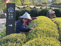 -龙坞茶村