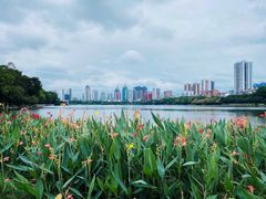 -南宁南湖公园
