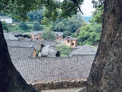 -杨家堂村
