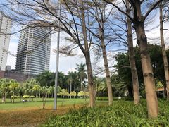 -东风公园