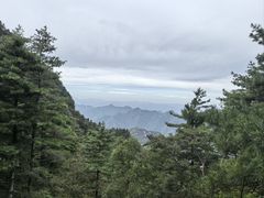 -秦岭天竺山景区
