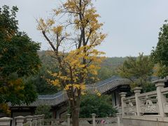 -孙武文化园-停车场