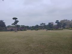 -南宁南湖公园