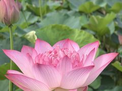 -朝阳公园