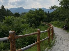 -白水寺森林公园
