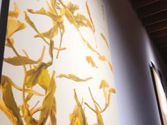 -煮叶(悠唐广场店)