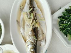 太湖白鱼-湖山人家·湖景餐厅·特色农家菜(太湖西山店)