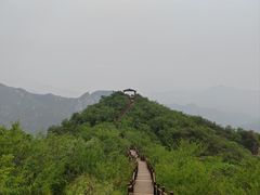 -大岭沟猕猴桃谷风景区