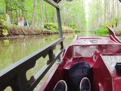 -合肥滨湖国家森林公园