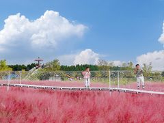 -嘉北郊野公园