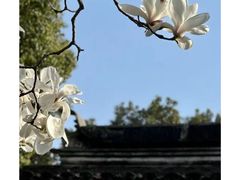 -上海醉白池公园