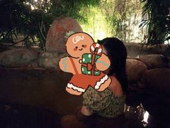 -三江森林温泉度假区