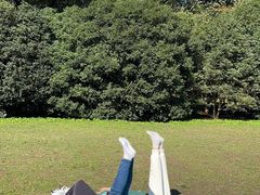 -上海共青森林公园