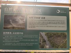 -同里国家湿地公园
