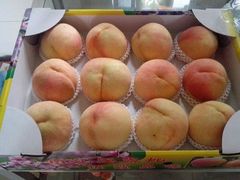 -南汇水蜜桃采摘(大团店)