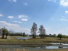 -洱海月湿地公园