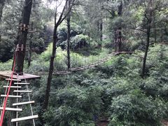 -梦幻奥陶纪景区