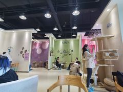 -藏猫猫咖啡主题馆(中央大道店)