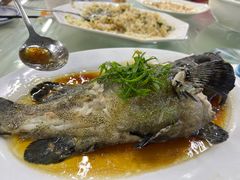 -双月饭店·20年老字号(新村店)