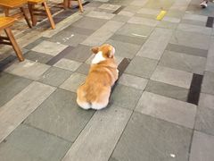 -潘多多·山里人锅巴土豆(八一路店)