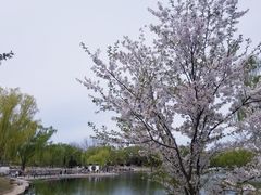 景点-陶然亭公园